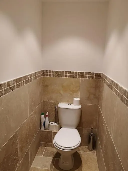 Chalet 16 Pers Proche Des Pistes Vallouise France