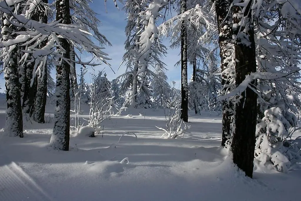 Chalet 16 Pers Proche Des Pistes Vallouise