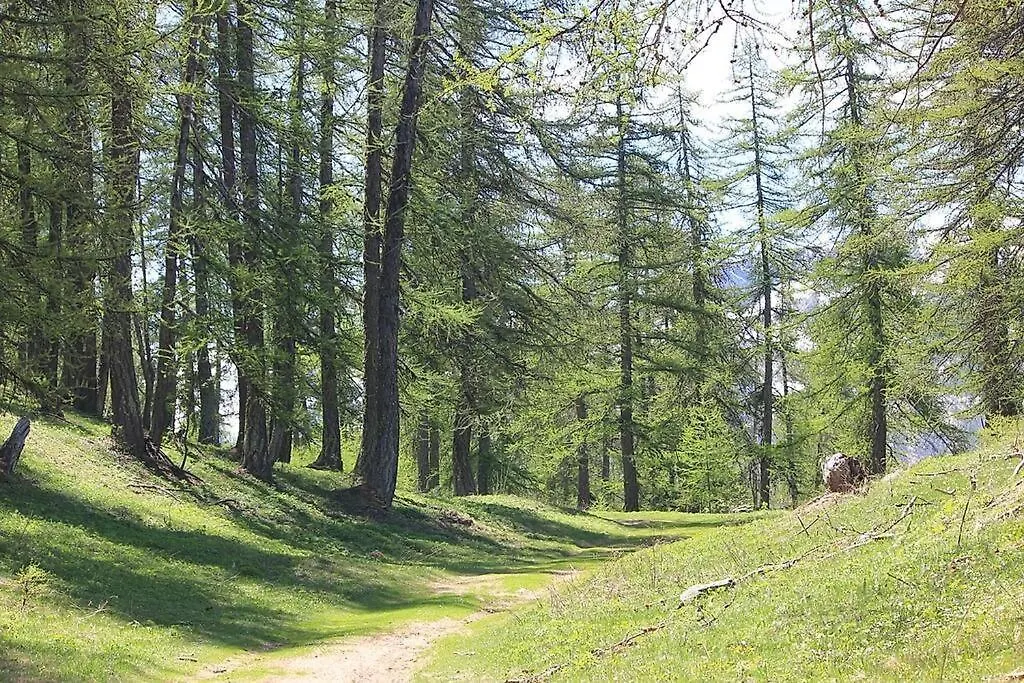 Chalet 16 Pers Proche Des Pistes Vallouise France